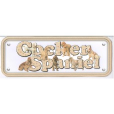 Cocker Spaniel - golden